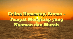 Celina Homestay, Bromo – Tempat Menginap yang Nyaman dan Murah