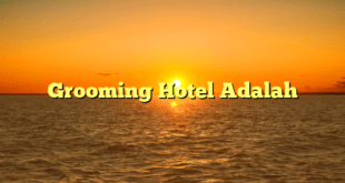 Grooming Hotel Adalah