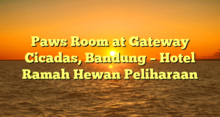 Paws Room at Gateway Cicadas, Bandung – Hotel Ramah Hewan Peliharaan