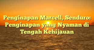 Penginapan Marcell, Senduro: Penginapan yang Nyaman di Tengah Kehijauan