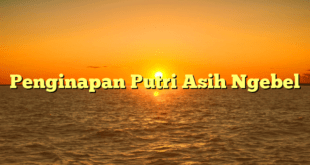 Penginapan Putri Asih Ngebel