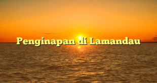 Penginapan di Lamandau