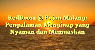 RedDoorz @ Pujon Malang: Pengalaman Menginap yang Nyaman dan Memuaskan