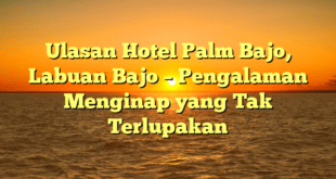 Ulasan Hotel Palm Bajo, Labuan Bajo – Pengalaman Menginap yang Tak Terlupakan