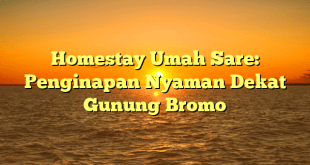 Homestay Umah Sare: Penginapan Nyaman Dekat Gunung Bromo