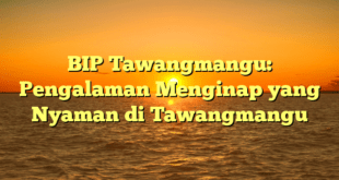 BIP Tawangmangu: Pengalaman Menginap yang Nyaman di Tawangmangu