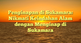 Penginapan di Sukamara: Nikmati Keindahan Alam dengan Menginap di Sukamara