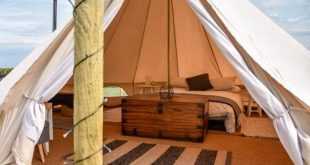 Green Glamping: Suasana Hijau di Glamping