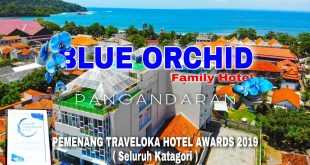 Cottage Blue Orchid Pangandaran: Suasana Romantis di Cottage Blue Orchid