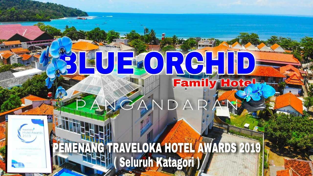 Cottage Blue Orchid Pangandaran: Suasana Romantis di Cottage Blue Orchid 