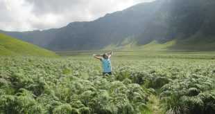 Savana Homestay Bromo: Kesempurnaan Beristirahat di Bromo