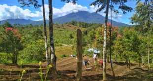 Penginapan Cantika Sungai Penuh: Kenyamanan Di Pinggir Sungai Penuh