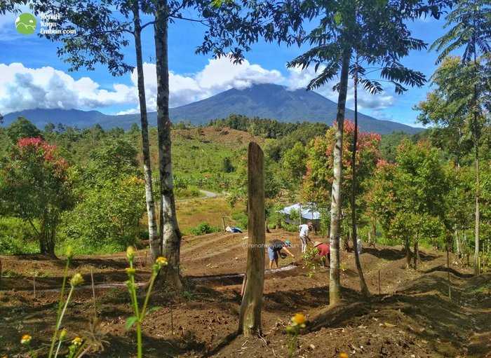 Penginapan Cantika Sungai Penuh: Kenyamanan Di Pinggir Sungai Penuh 