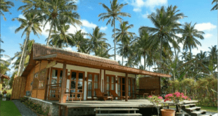 Oku Guest House and Cafe: Suasana Santai di Tepi Pantai Banyuwangi